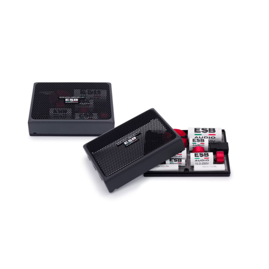 ESB AUDIO 5.6K2 CX 2-drożna zwrotnica pasywna (para)
